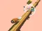 Igra Spiral Rush spletu