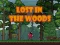 Igra Lost in the Woods spletu