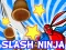 Igra Slash Ninja spletu