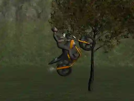 Igra Mountain Bike Rider spletu