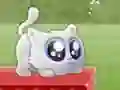 Igra Extreme Kitten spletu