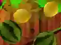Igra Fruit Break spletu