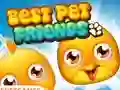 Igra Best Pet Friends spletu