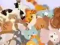 Igra Find The Kitty spletu