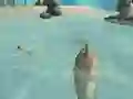 Igra Shark Simulator Beach Killer spletu