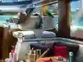 Igra Caribbean Crime spletu