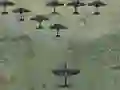Igra Wings Of Glory spletu