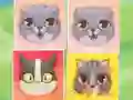 Igra Kitten Match spletu