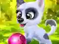 Igra Happy Dog spletu