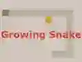 Igra Growing Snake spletu