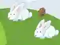Igra Crazy Eggs spletu