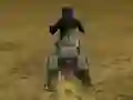 Igra Real Moto Stunts Challenge spletu