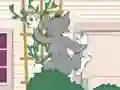 Igra Tom und Jerry: Wasserbomben Wahnsinn spletu