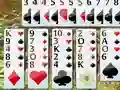 Igra Flower Garden Solitaire spletu