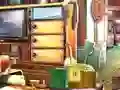 Igra Essential Cleaning spletu