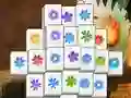 Igra Spring Flower spletu