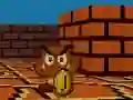 Igra Mario FPS spletu