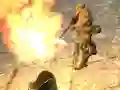 Igra Warzone spletu