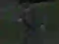Igra Soviet Sniper spletu