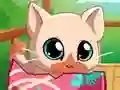 Igra My Pocket Pets Kitty Cat spletu