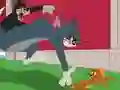 Igra Tom and Jerry: Chasing Jerry spletu