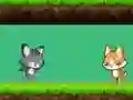 Igra Cat vs Dog spletu