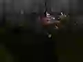 Igra Zombie Survival spletu