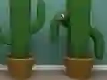 Igra Cactus Cube spletu