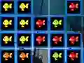 Igra 1010 Fish Blocks spletu