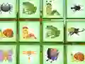 Igra Find The Insect spletu