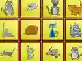 Igra Cats Findiff spletu