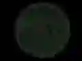 Igra Stickshot 2 spletu