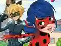 Igra LadyBug Differences spletu