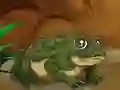 Igra Frogs Matching spletu