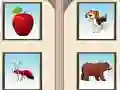 Igra Kindergarten Activity 3 spletu
