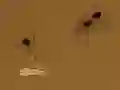 Igra Save the crumb spletu