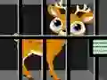 Igra Animals Rescue spletu