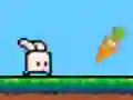Igra Bouncing Bunny spletu