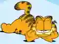 Igra Garfield Jigsaw Puzzle Collection spletu