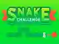 Igra Snake Challenge spletu