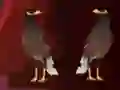 Igra Peikin Duck Escape spletu