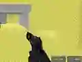 Igra Pixel Combat Multiplayer spletu