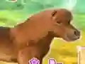 Igra My Dear Pony spletu
