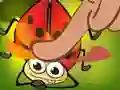 Igra Insect Cush spletu