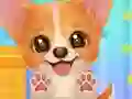Igra Adopt Your Pet Puppy spletu