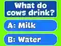 Igra Trivia Best Family Quiz spletu