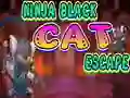 Igra Ninja Black Cat Escape spletu