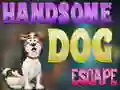 Igra Handsome Dog Escape spletu