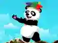 Igra Panda Shooter spletu