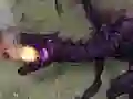 Igra Minecraft Ender Dragon Challenge spletu